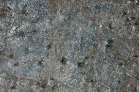 Amostra Smartstone - Oyester Shell