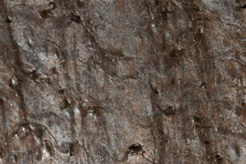 Amostra Smartstone - Gold Canyon